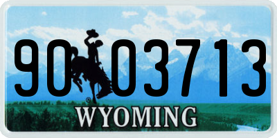 WY license plate 9003713