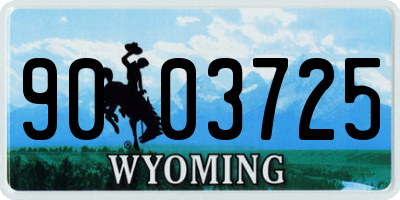 WY license plate 9003725