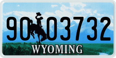 WY license plate 9003732