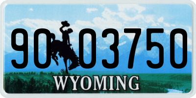 WY license plate 9003750