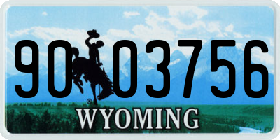 WY license plate 9003756