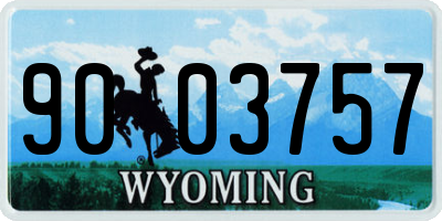 WY license plate 9003757