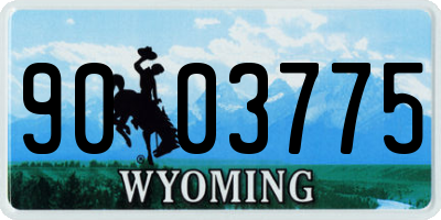 WY license plate 9003775