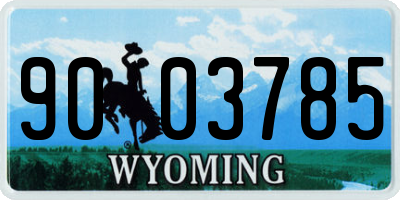 WY license plate 9003785