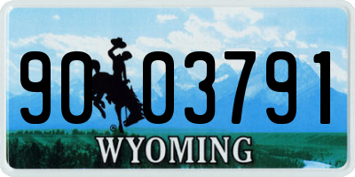 WY license plate 9003791