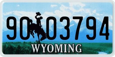 WY license plate 9003794