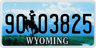 WY license plate 9003825