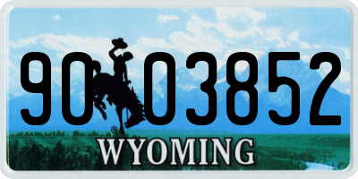 WY license plate 9003852