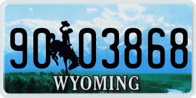 WY license plate 9003868