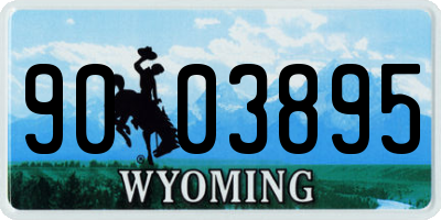 WY license plate 9003895