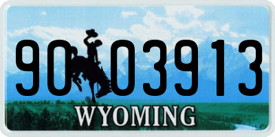 WY license plate 9003913