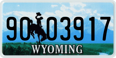 WY license plate 9003917