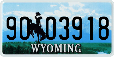 WY license plate 9003918