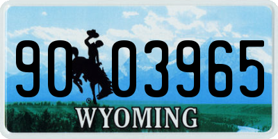 WY license plate 9003965