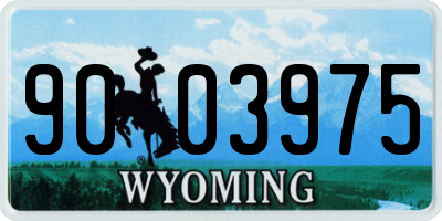 WY license plate 9003975