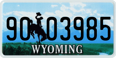 WY license plate 9003985