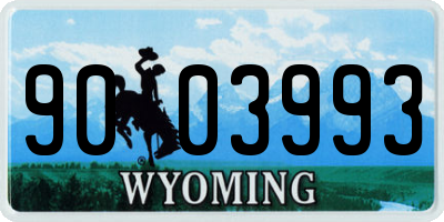 WY license plate 9003993