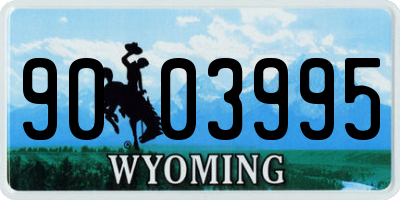 WY license plate 9003995