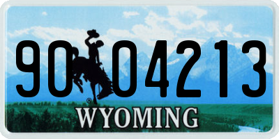 WY license plate 9004213
