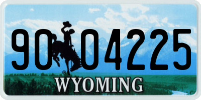 WY license plate 9004225