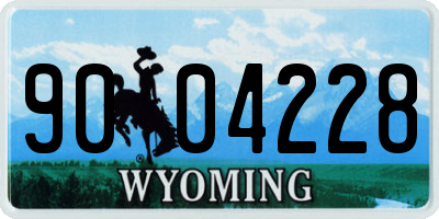 WY license plate 9004228