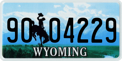 WY license plate 9004229