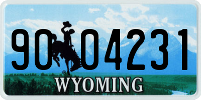 WY license plate 9004231
