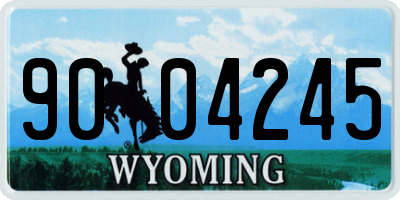 WY license plate 9004245