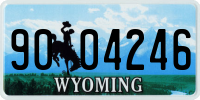 WY license plate 9004246