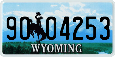 WY license plate 9004253