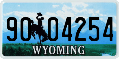 WY license plate 9004254