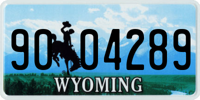 WY license plate 9004289