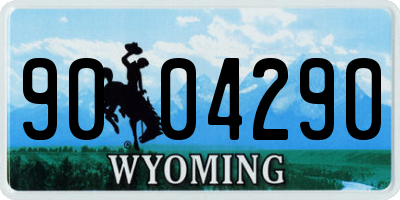 WY license plate 9004290