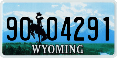 WY license plate 9004291
