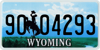 WY license plate 9004293