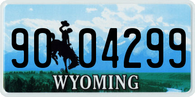 WY license plate 9004299