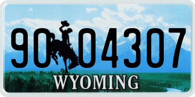 WY license plate 9004307