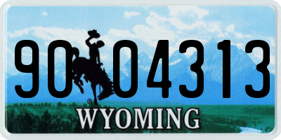 WY license plate 9004313
