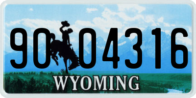 WY license plate 9004316