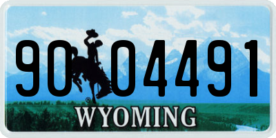 WY license plate 9004491