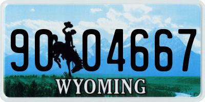 WY license plate 9004667