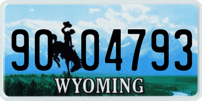 WY license plate 9004793