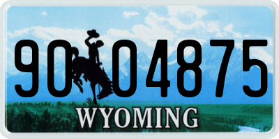 WY license plate 9004875