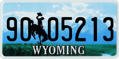 WY license plate 9005213