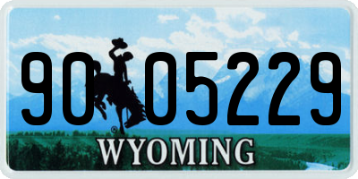 WY license plate 9005229