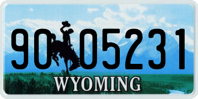 WY license plate 9005231