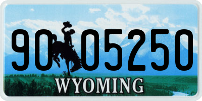 WY license plate 9005250