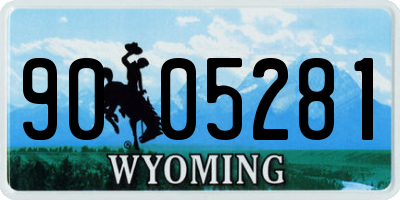 WY license plate 9005281