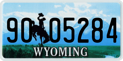 WY license plate 9005284