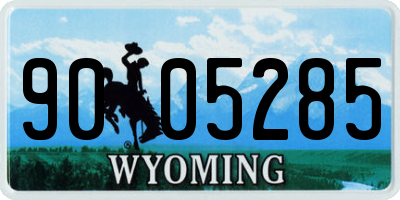 WY license plate 9005285
